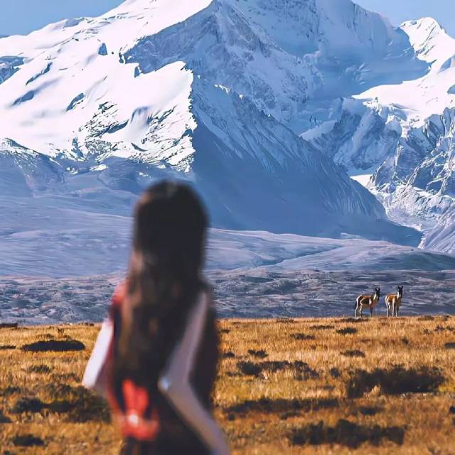 找旅游搭子