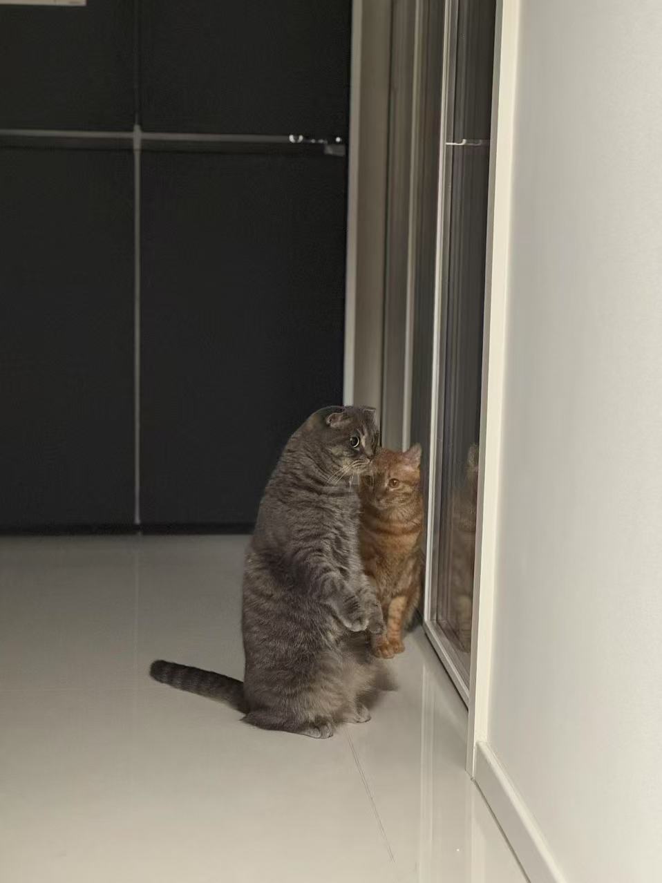 找运动搭子