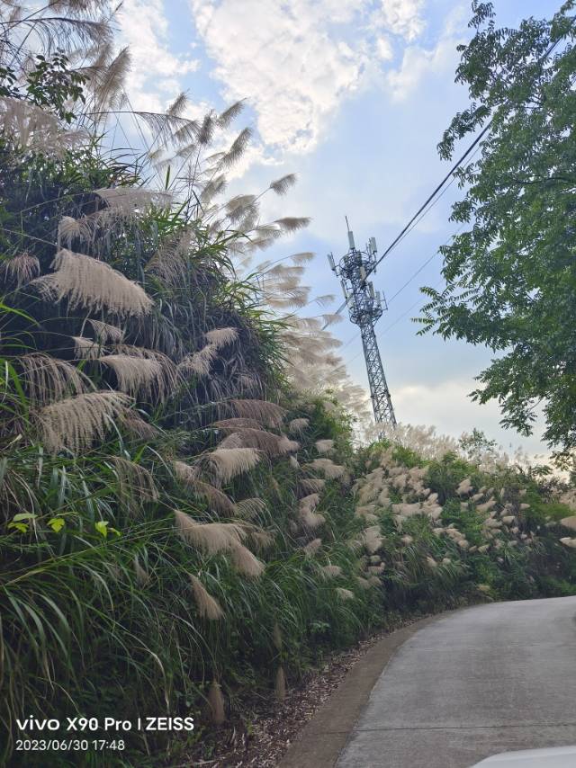 找爬山搭子
