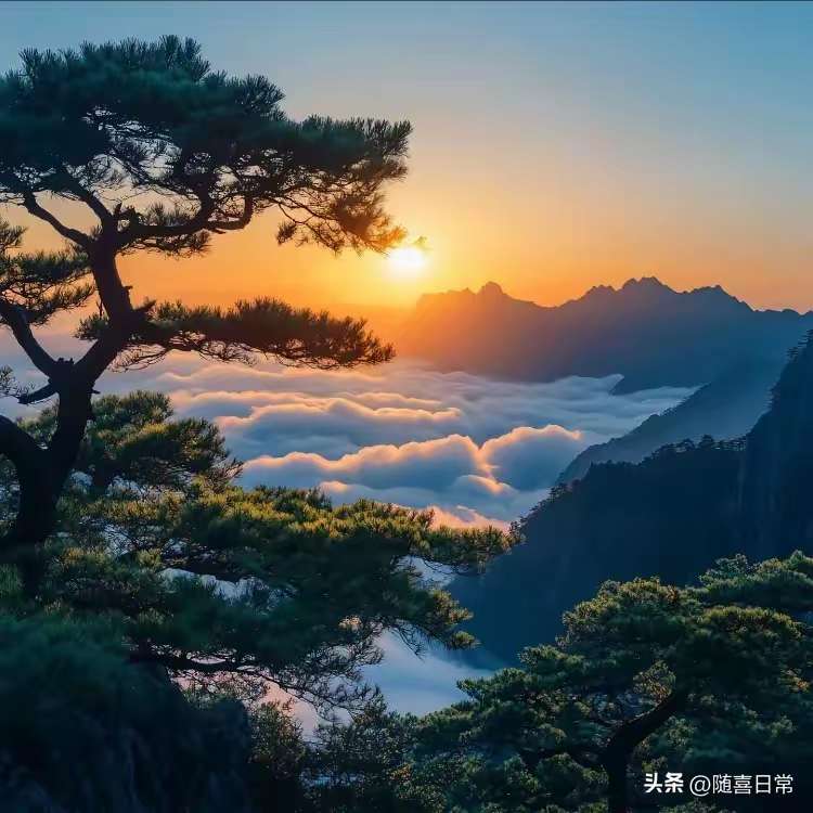 找运动搭子