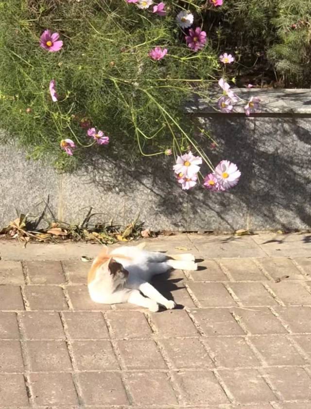 找运动搭子