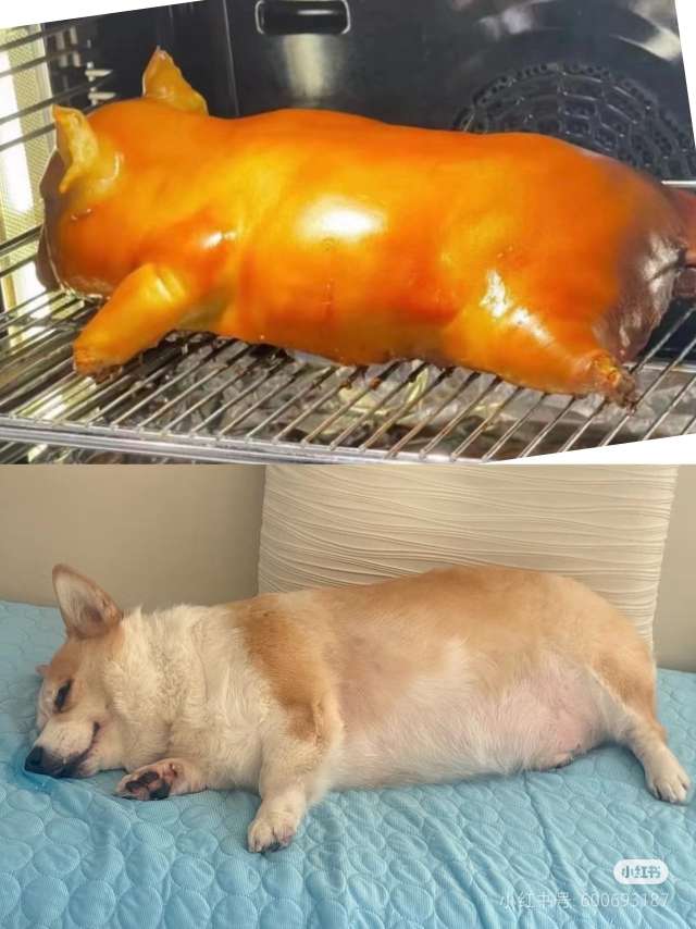 找跑步搭子