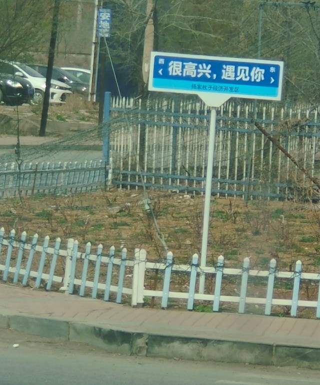 找学习搭子