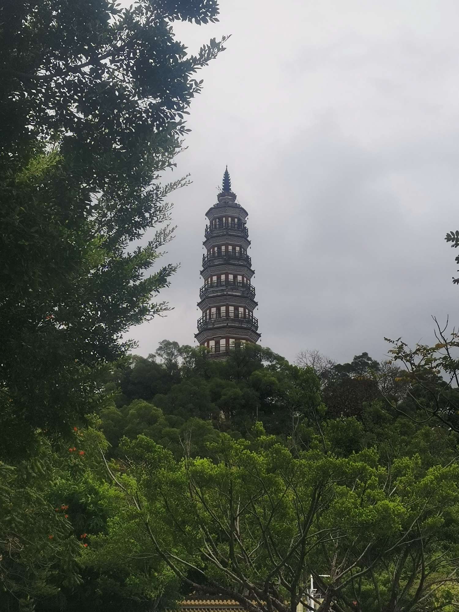 找到处逛逛搭子