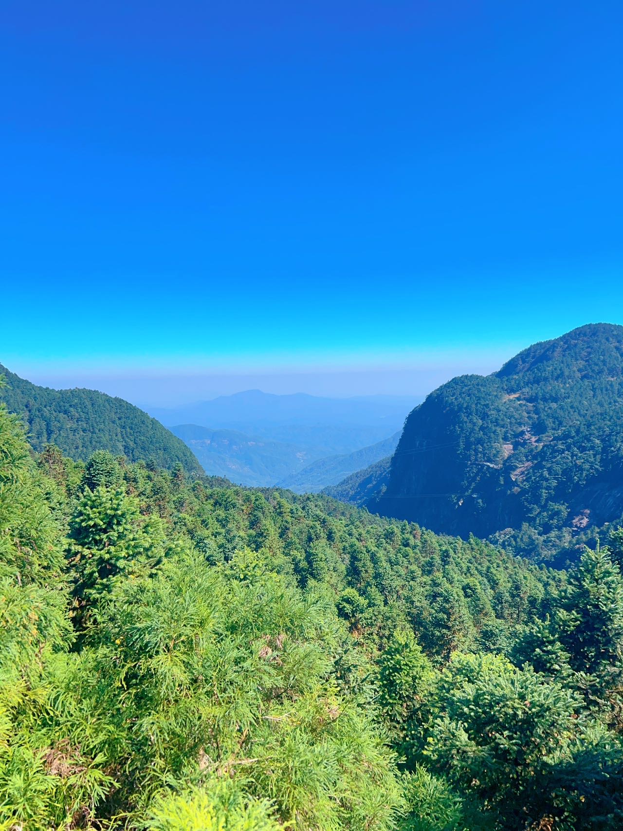 找旅行搭子