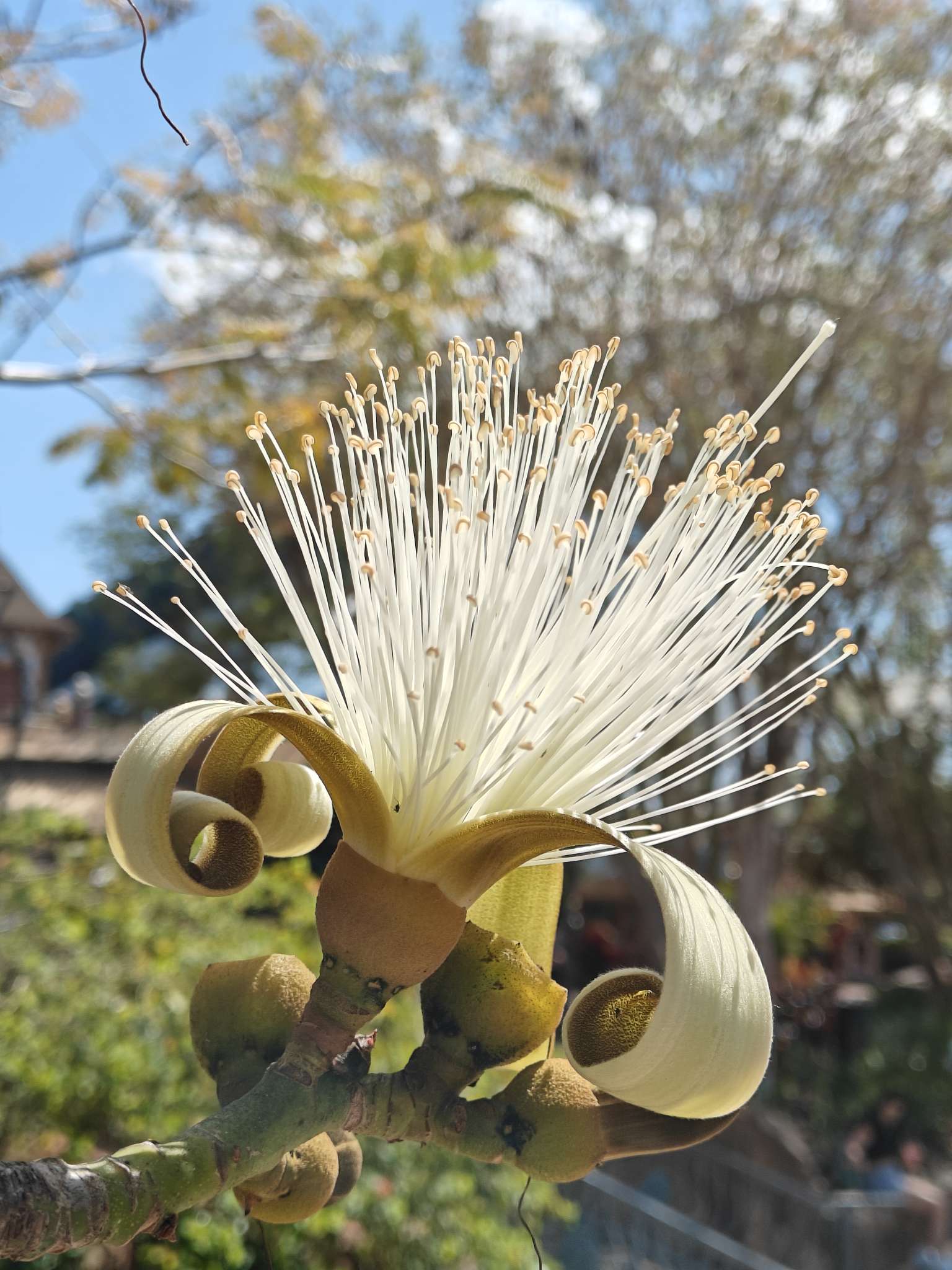 找拍照搭子