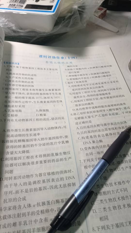 找学习搭子