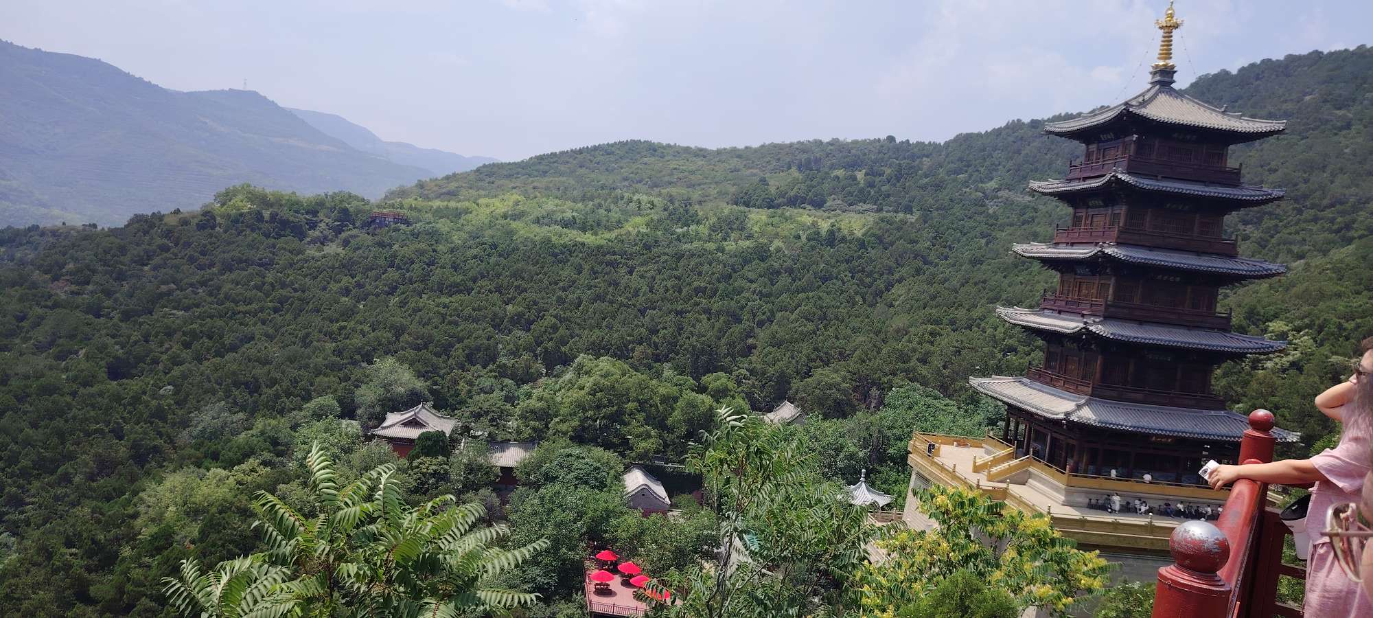 找结婚搭子