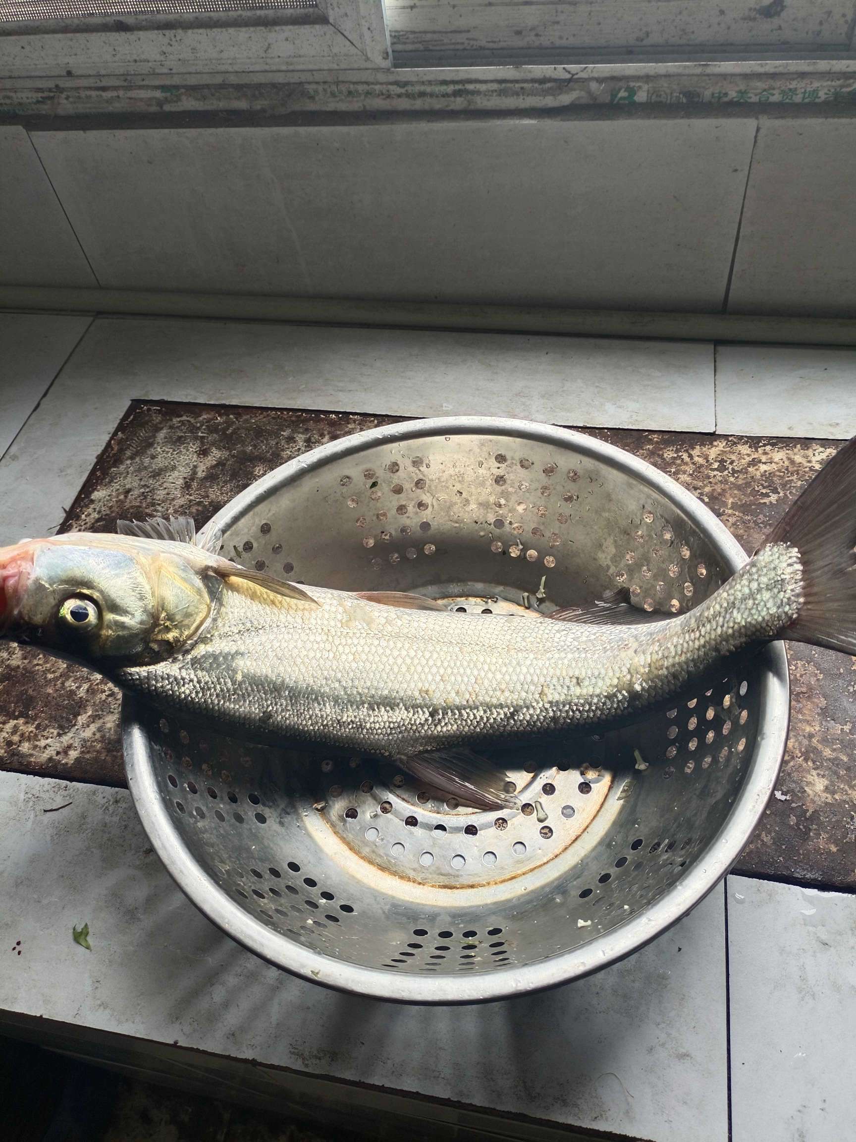 找钓友搭子