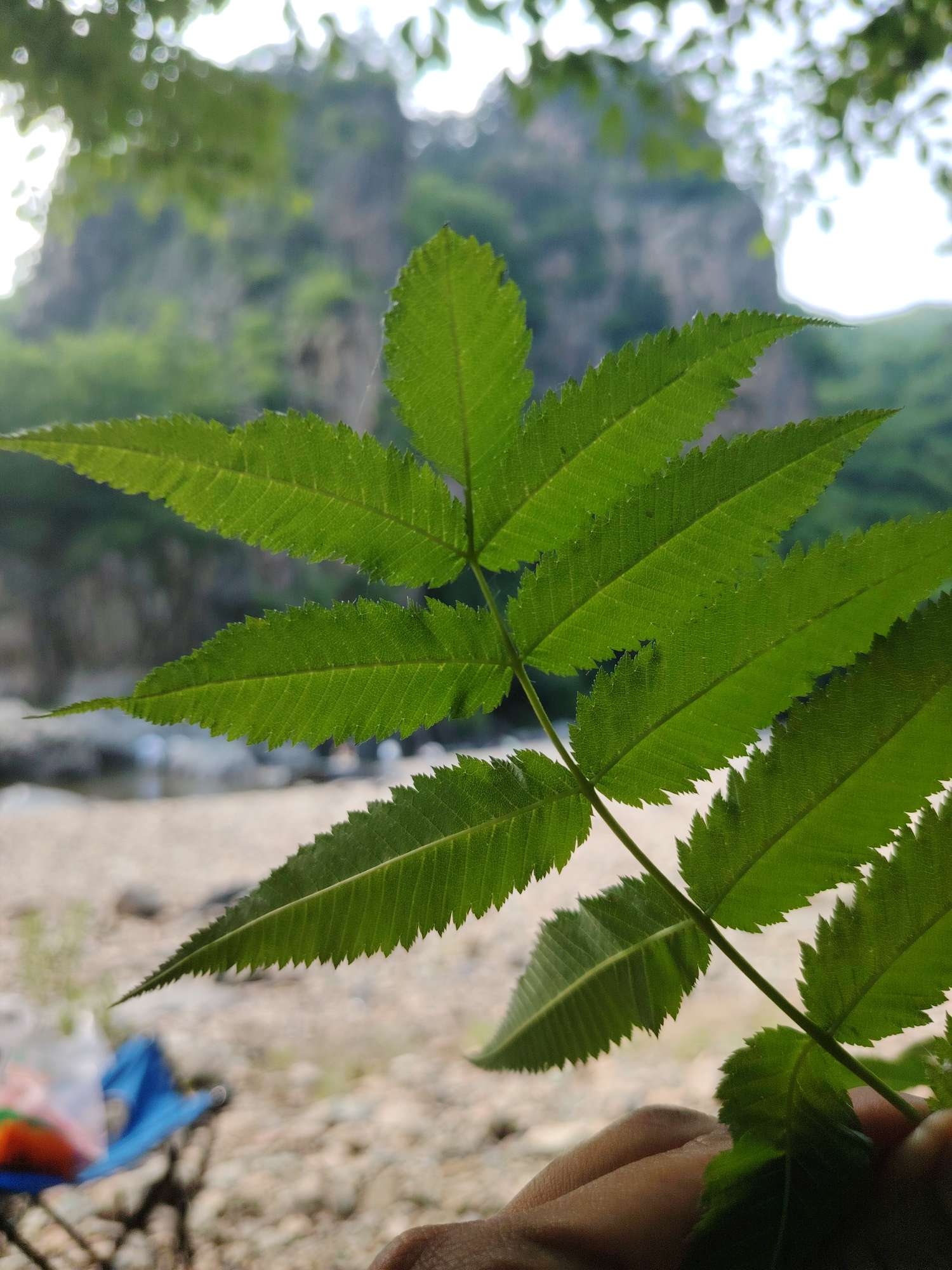 找旅游搭子