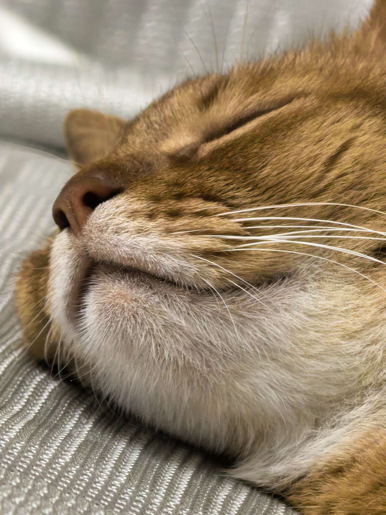 找剧本杀搭子