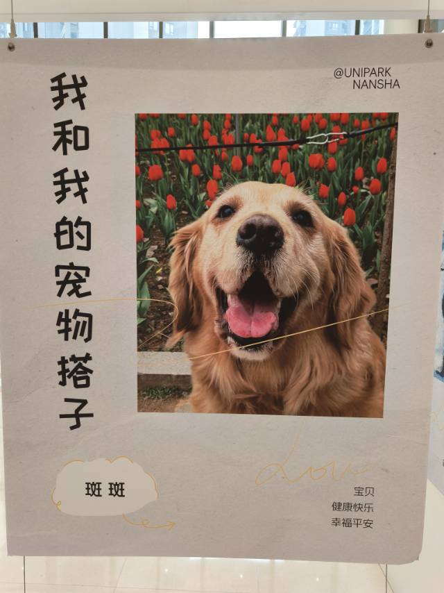 找看展搭子