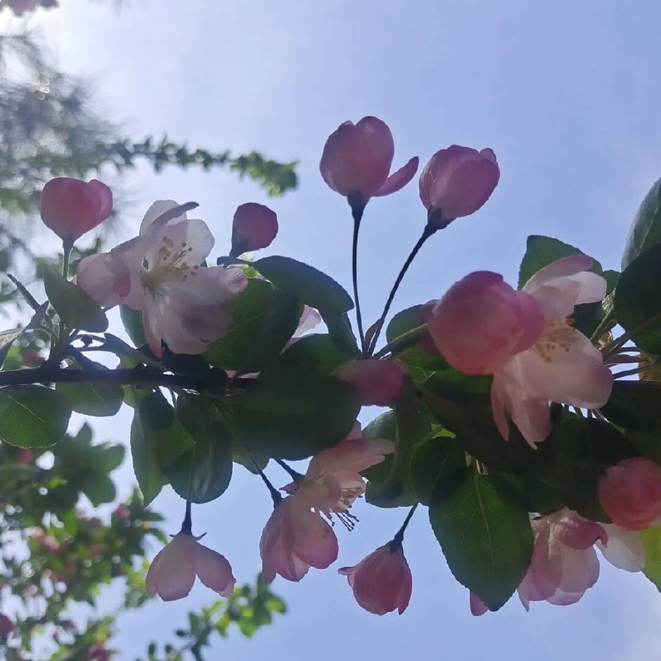 找约会搭子
