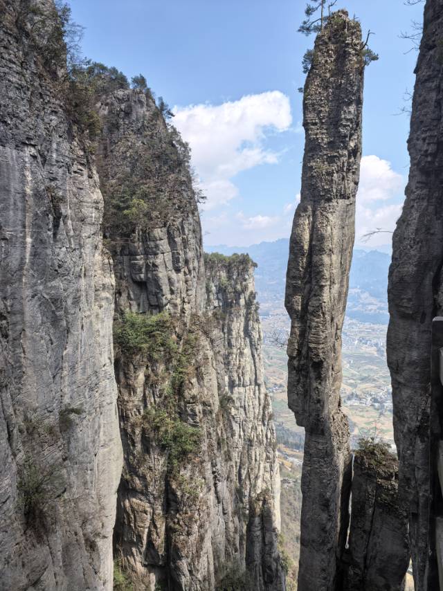 找旅游搭子