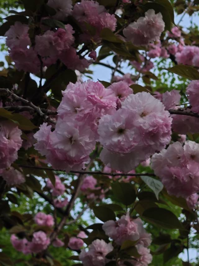 找聊天搭子
