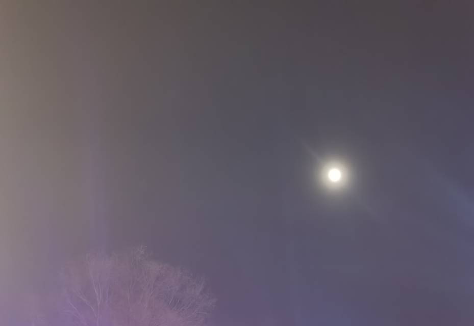 找旅行搭子
