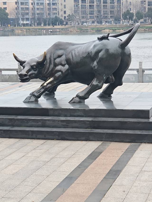找创业搭子