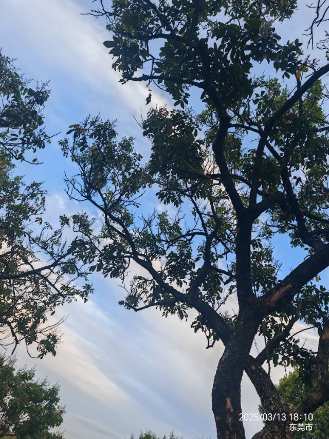找旅游搭子