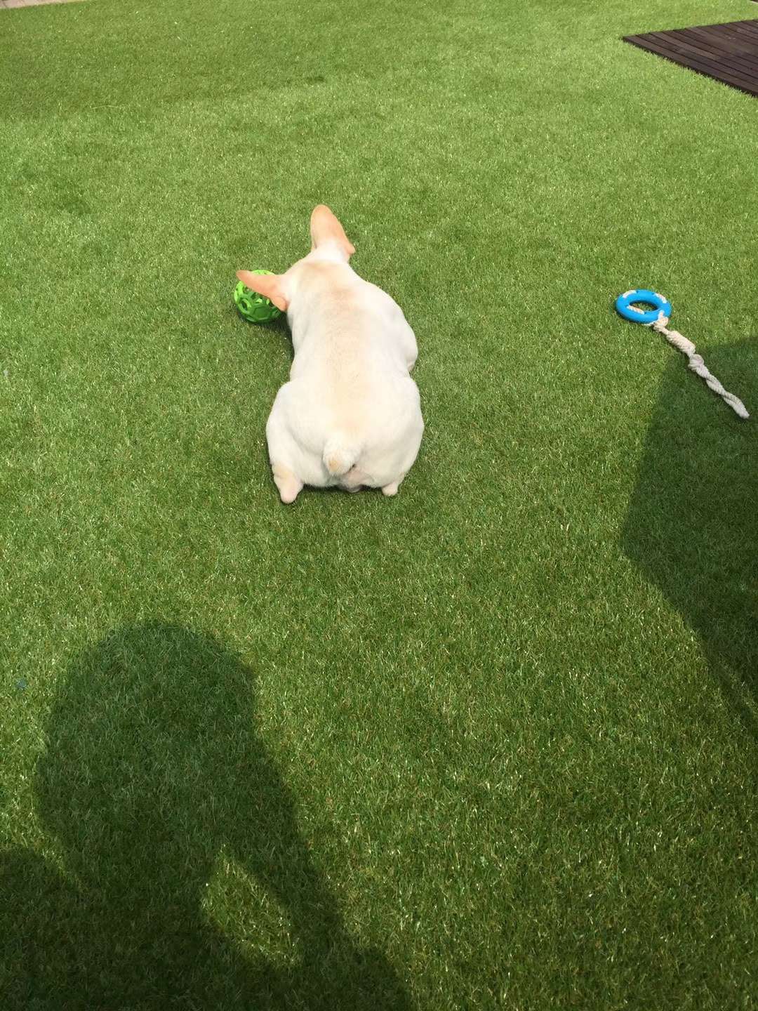 找无聊又有趣搭子