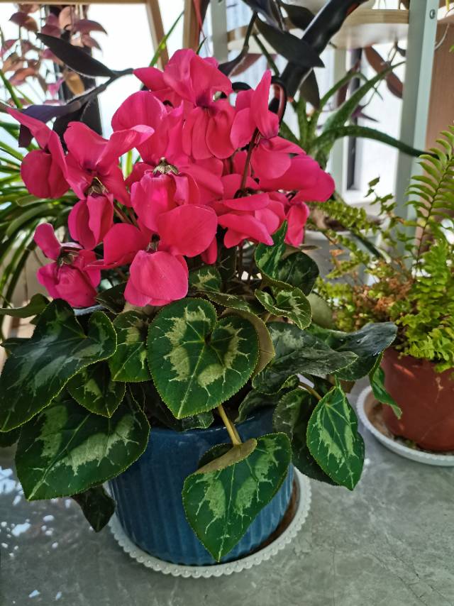 找游玩搭子