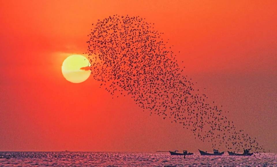 找旅行搭子