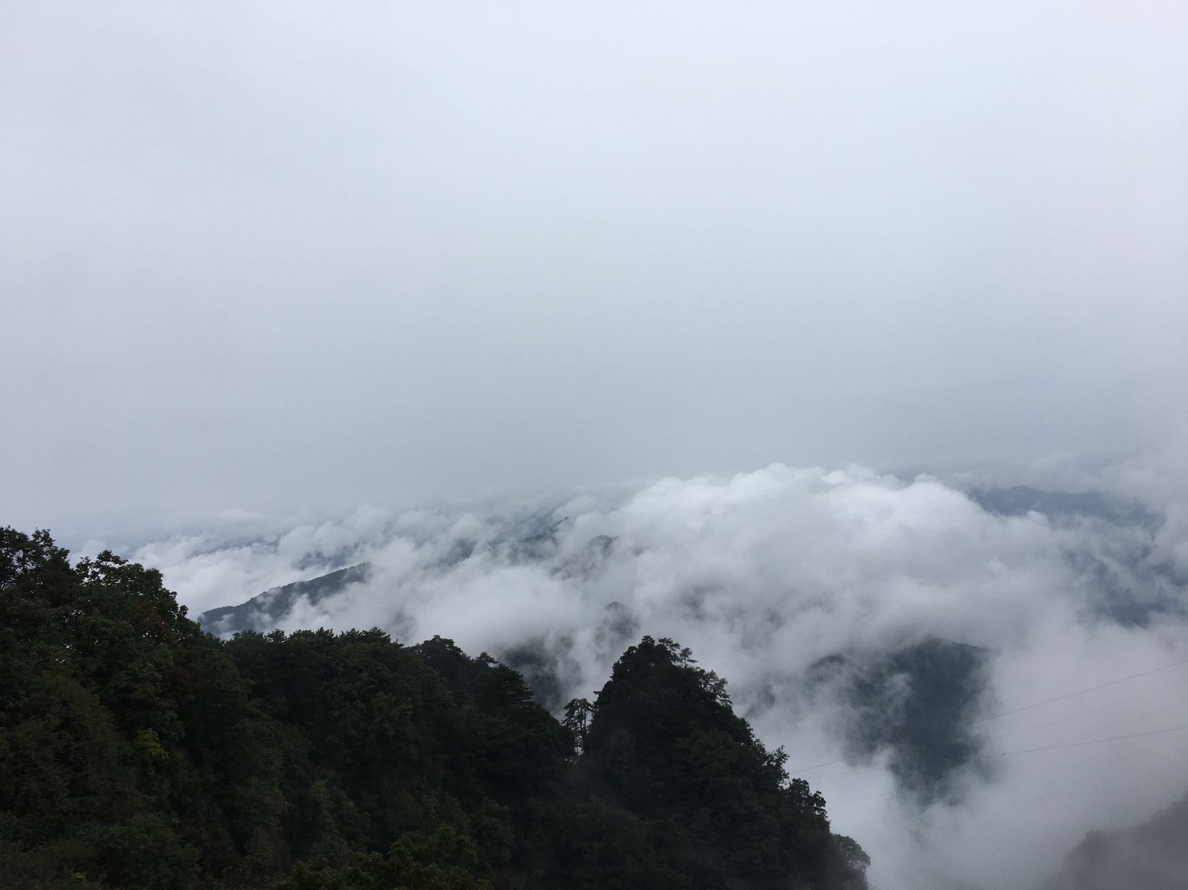 找运动搭子