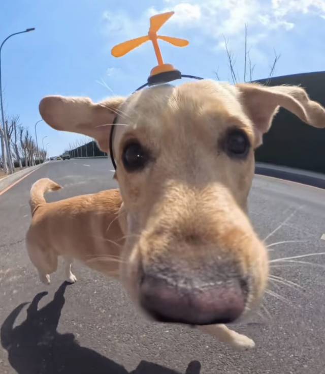 找羽毛球搭子