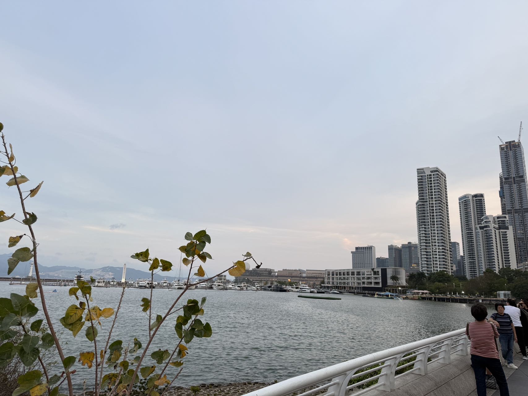 找爬山搭子