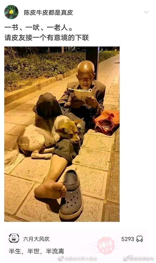 找旅游搭子