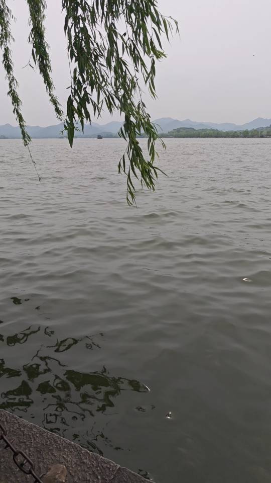 找看书逛街搭子