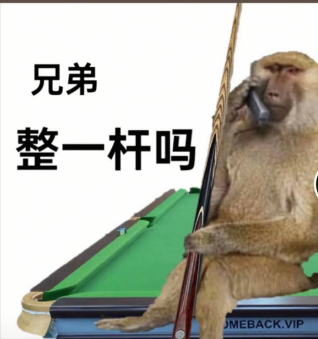找台球🎱搭子