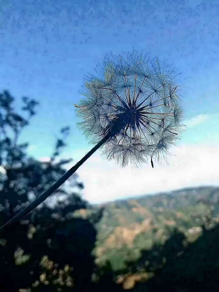找商业搭子