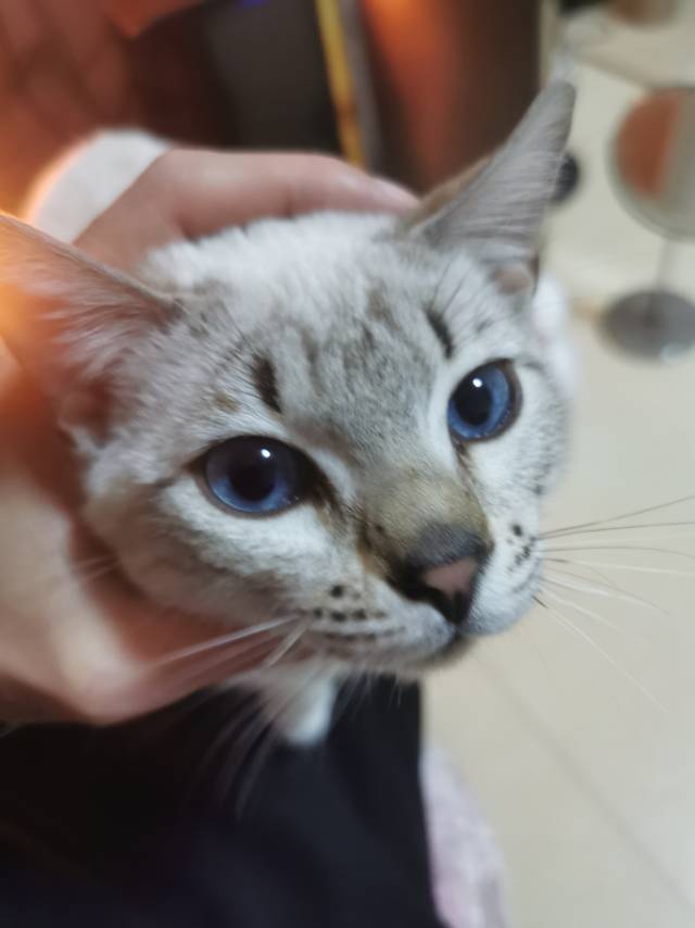 找酒搭子