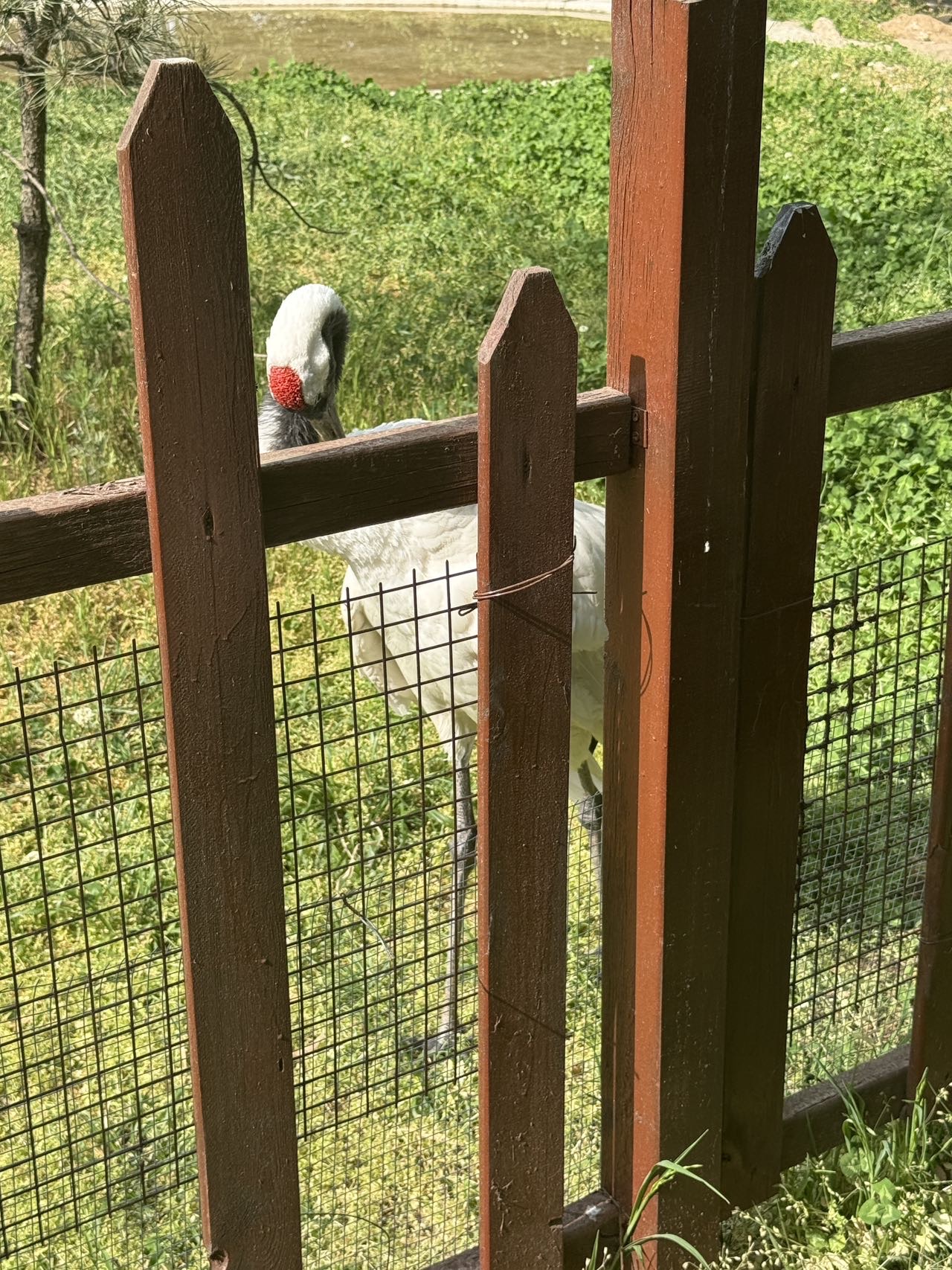 找旅游搭子