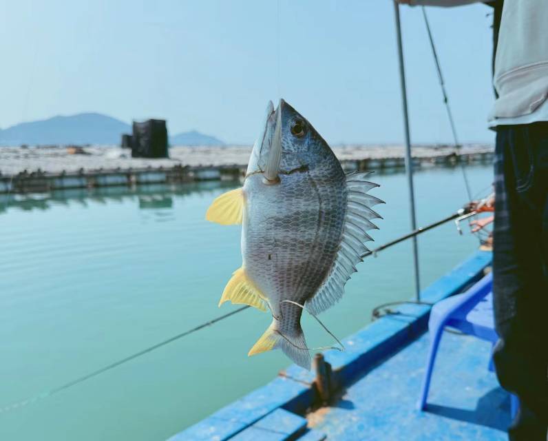 找聊天搭子