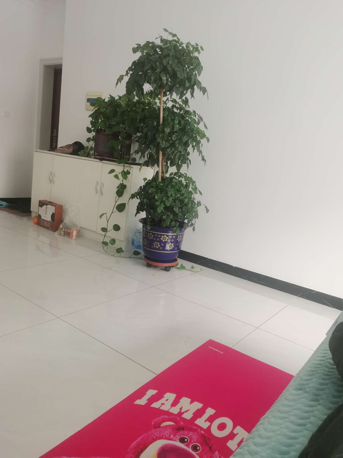 找游玩搭子