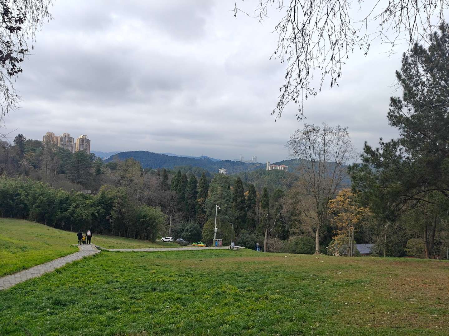 找旅游聊天学习搭子