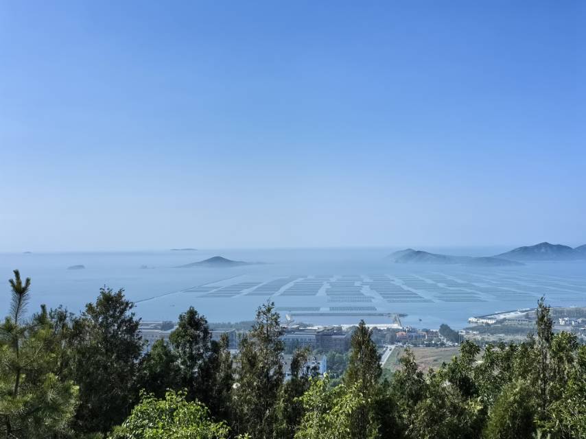 找旅行搭子