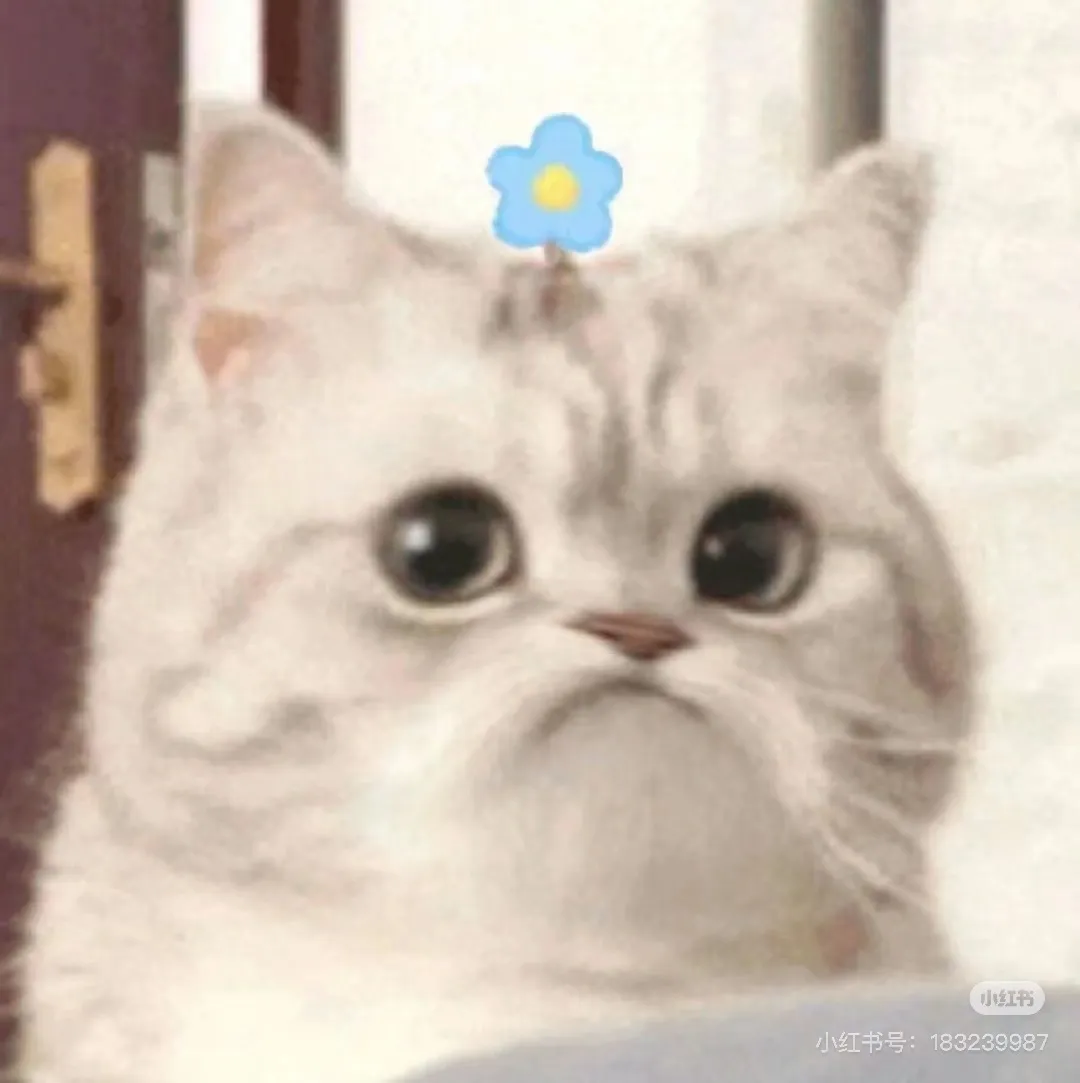 找台球搭子