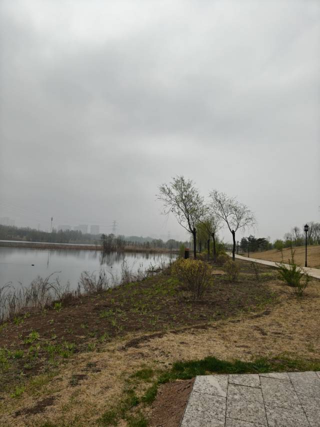 找旅游搭子