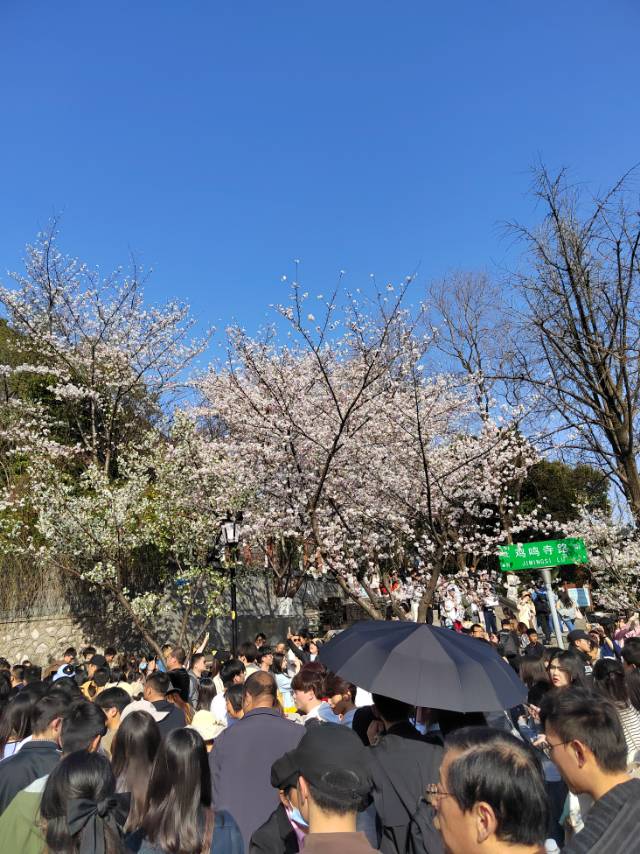 找旅游搭子