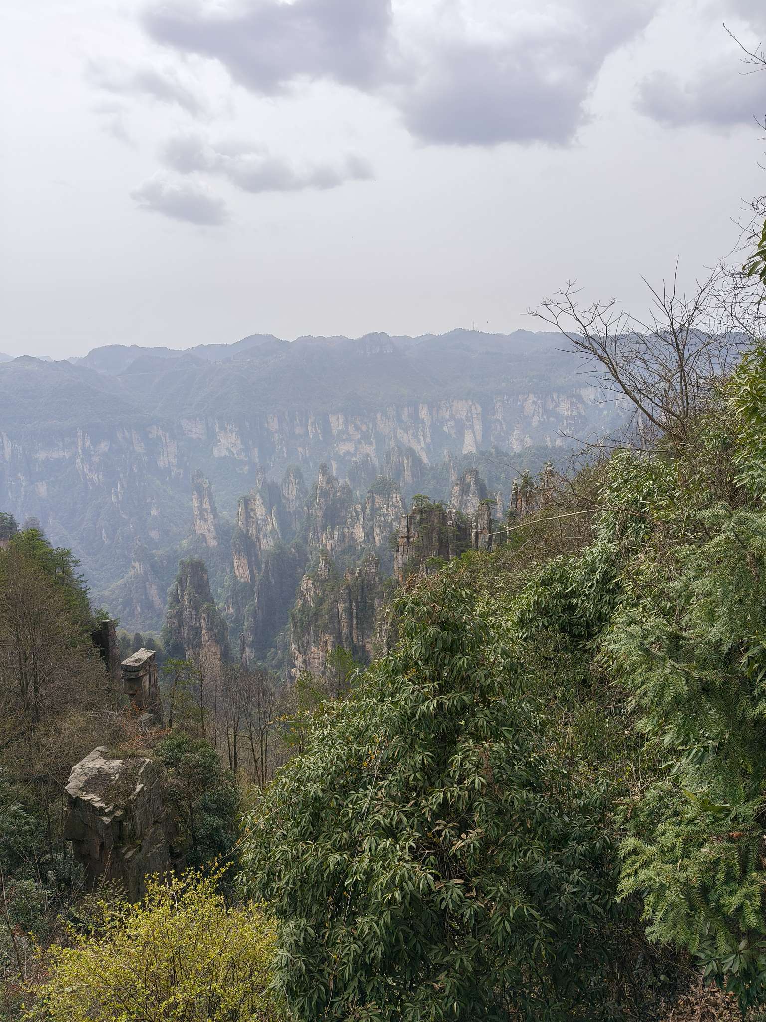 找旅游搭子