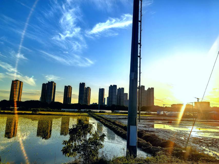 找旅游搭子
