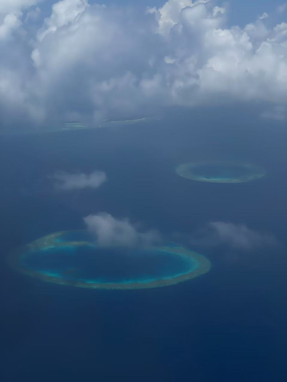 找旅游搭子