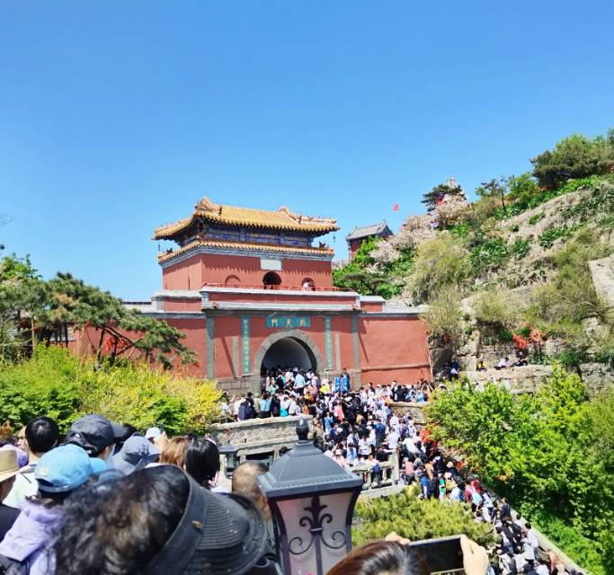 找游玩搭子