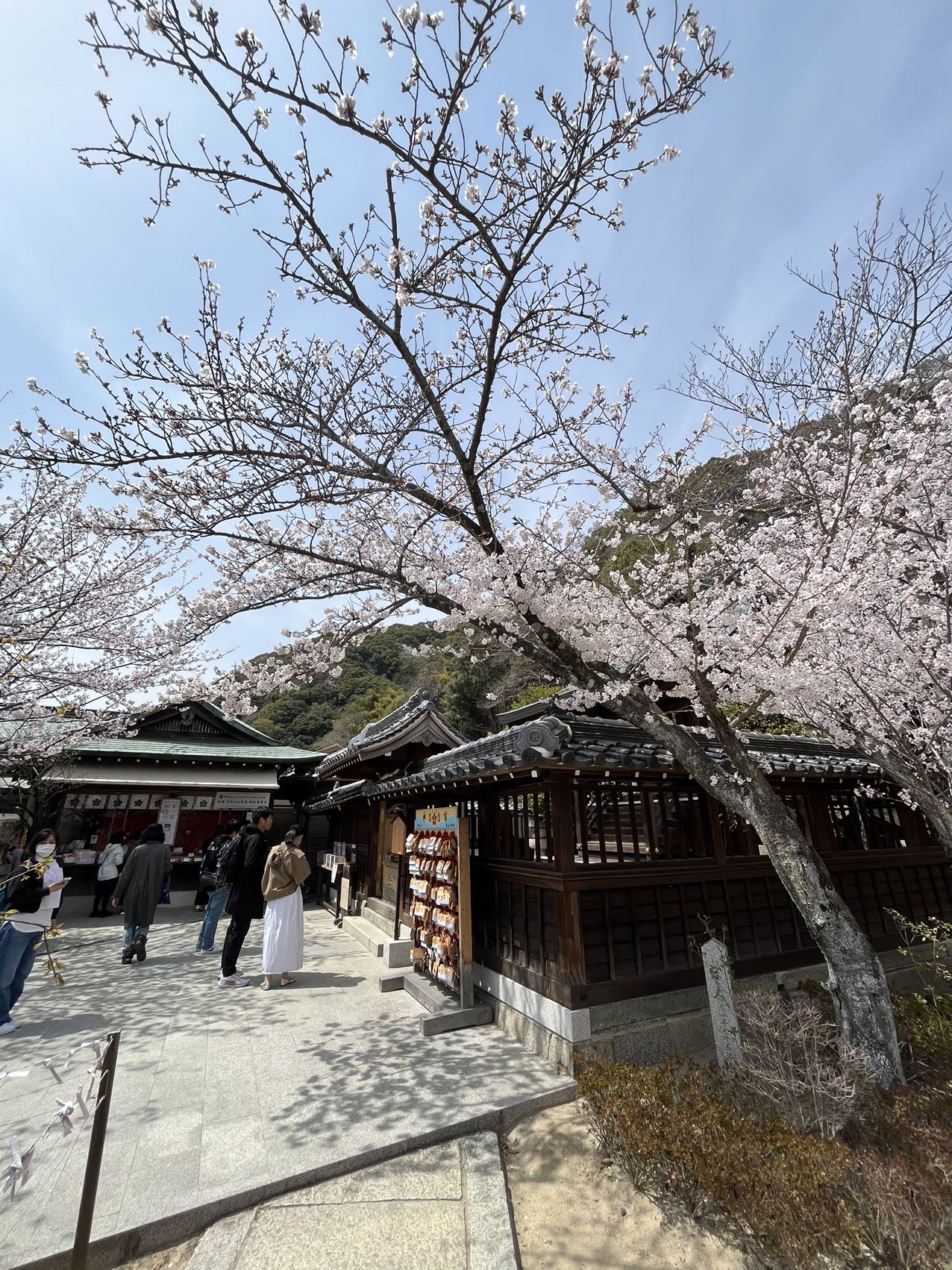 找旅游搭子