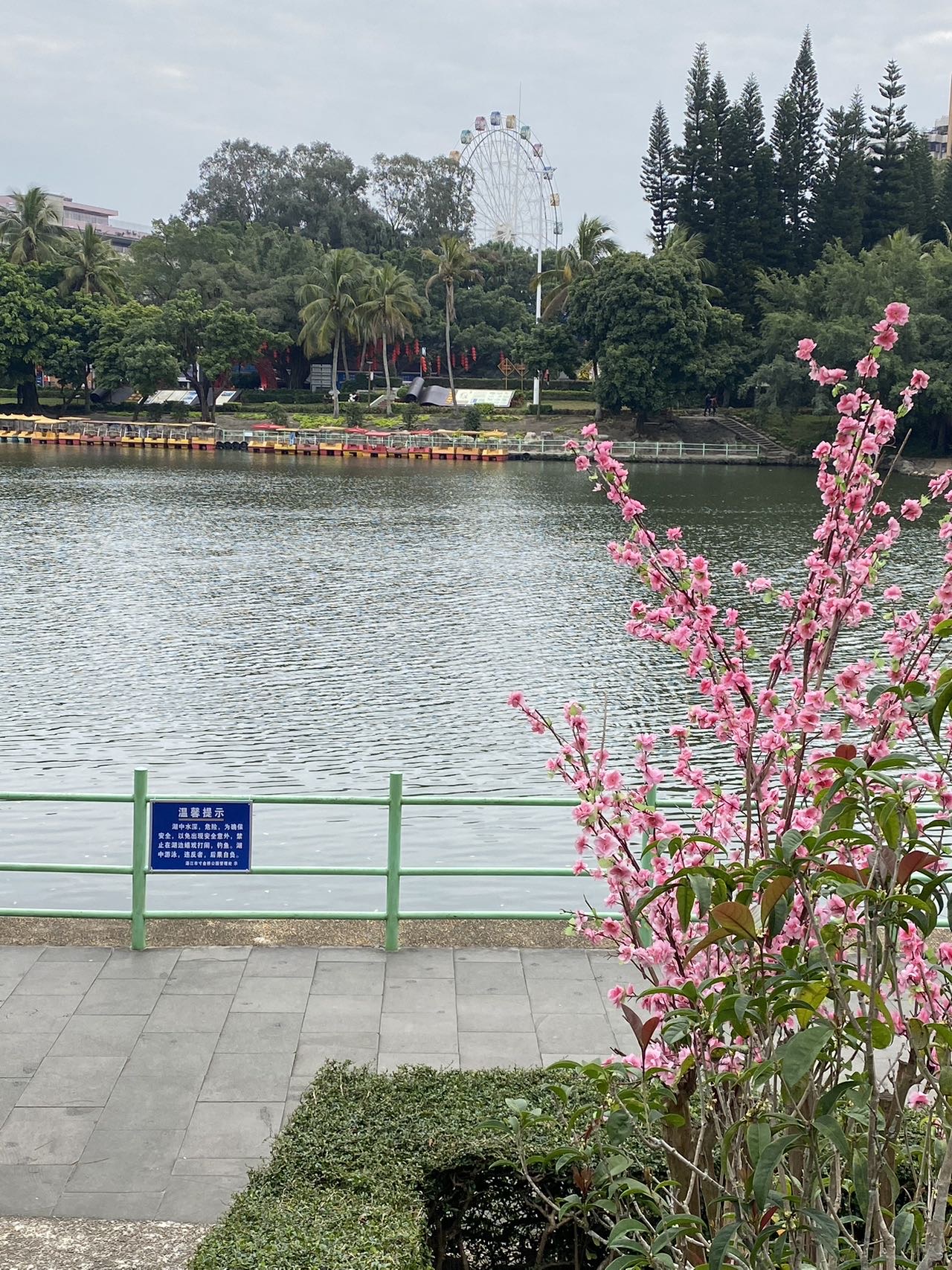 找运动搭子
