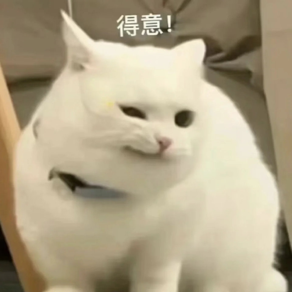 找羽毛球搭子