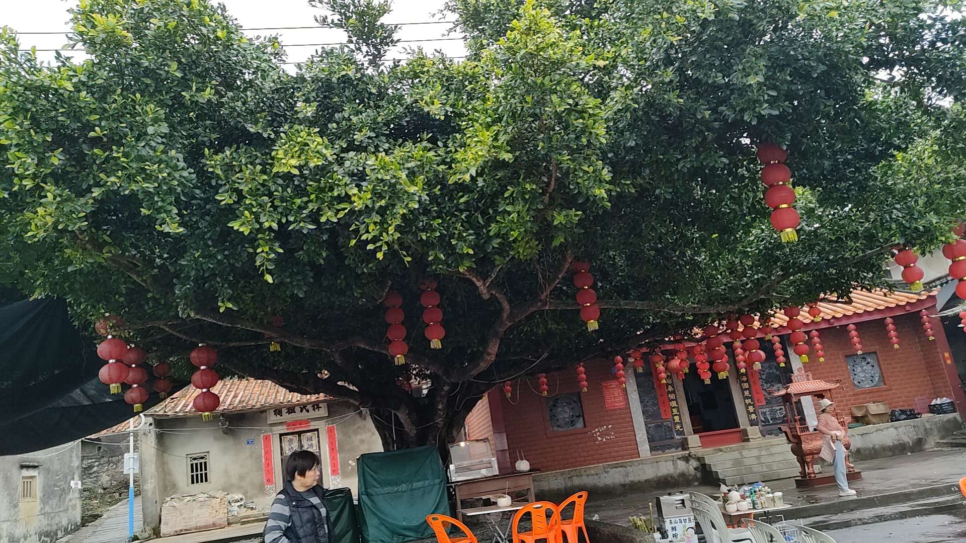 找旅游搭子
