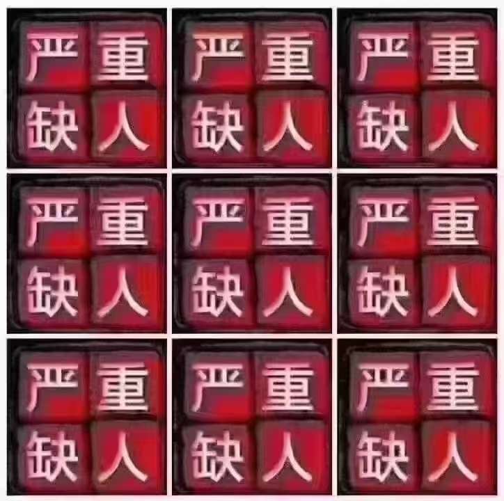 找旅游搭子